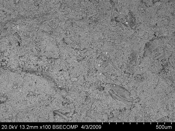 02_03_Jezioro Charzykowskie muł węglanowy okrzemki piryt framboidalny Lake Charzykowskie carbonate mud diatoms framboidal pyrite K. Apolinarska
